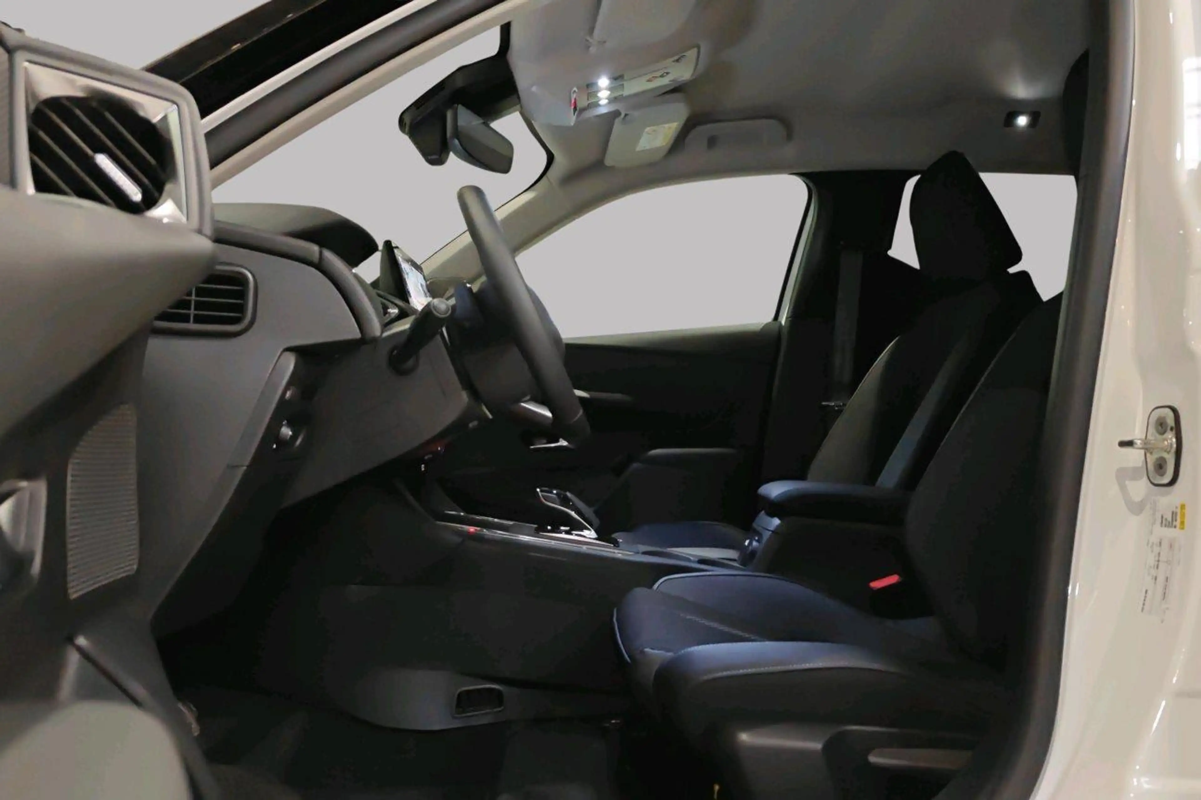 DS Automobiles DS 3 PALLAS — photo 10