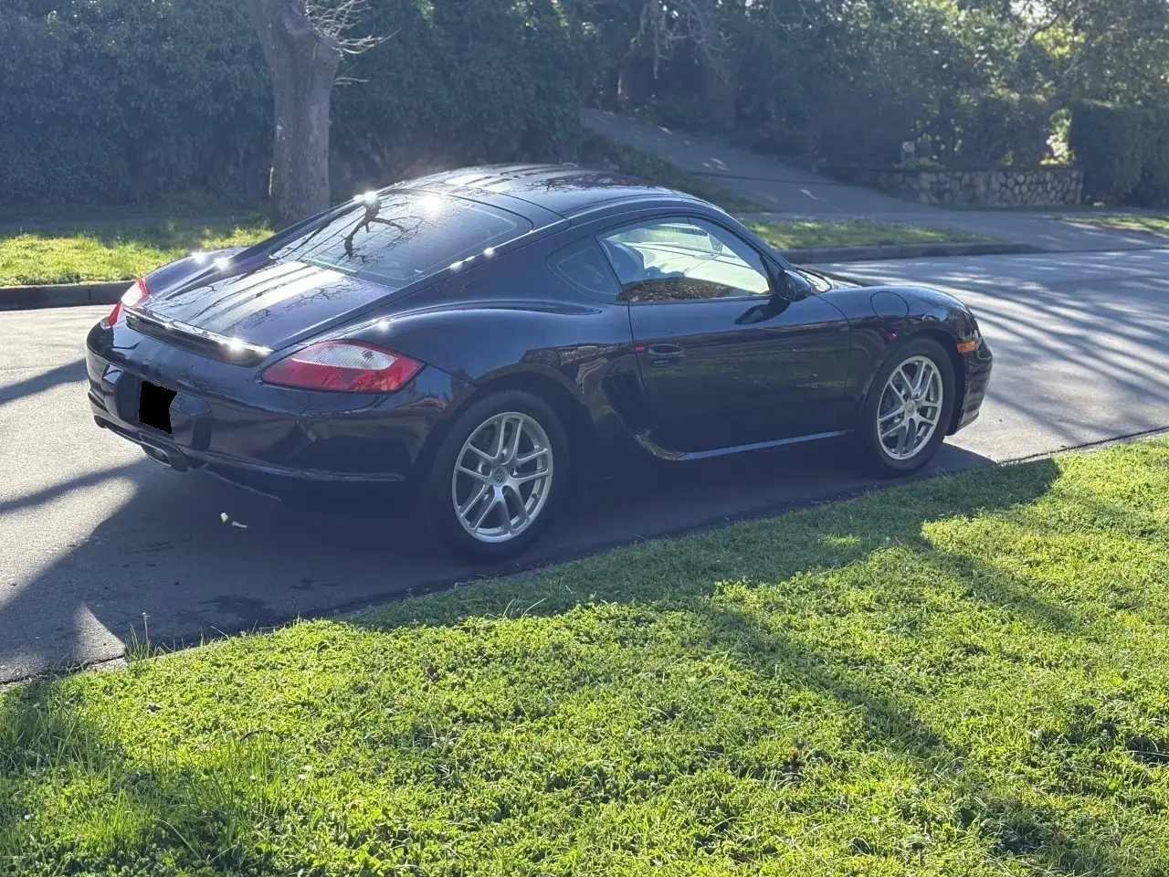 Porsche Cayman снимка Porsche Cayman