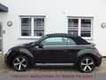 Volkswagen Beetle 1.2TSI Sound Plus Fender Xenon AppCon. Schwarz - thumbnail 8