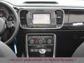 Volkswagen Beetle 1.2TSI Sound Plus Fender Xenon AppCon. Schwarz - thumbnail 15