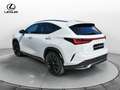 Lexus NX 300 Plug-in 4WD F-Sport Bianco - thumbnail 13