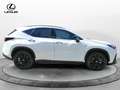 Lexus NX 300 Plug-in 4WD F-Sport Bianco - thumbnail 11