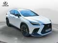Lexus NX 300 Plug-in 4WD F-Sport Bianco - thumbnail 12
