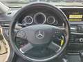 Mercedes-Benz E 200 Benzin + Gas NGT BlueEfficiency NGD Béžová - thumbnail 12