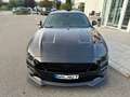 Ford Mustang GT 5.0 V8 Aut. Nuding Performance Umbau crna - thumbnail 8