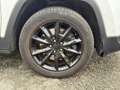 Jeep Cherokee 2.2L Multijet SS 200 Active Drive I Limited Advanced Technologies A Blanc - thumbnail 26