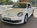 Volkswagen Beetle Pequeño Automático de 3 Puertas Blanco - thumbnail 1