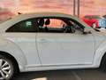 Volkswagen Beetle Pequeño Automático de 3 Puertas Blanco - thumbnail 19