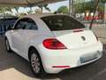 Volkswagen Beetle Pequeño Automático de 3 Puertas Blanco - thumbnail 6