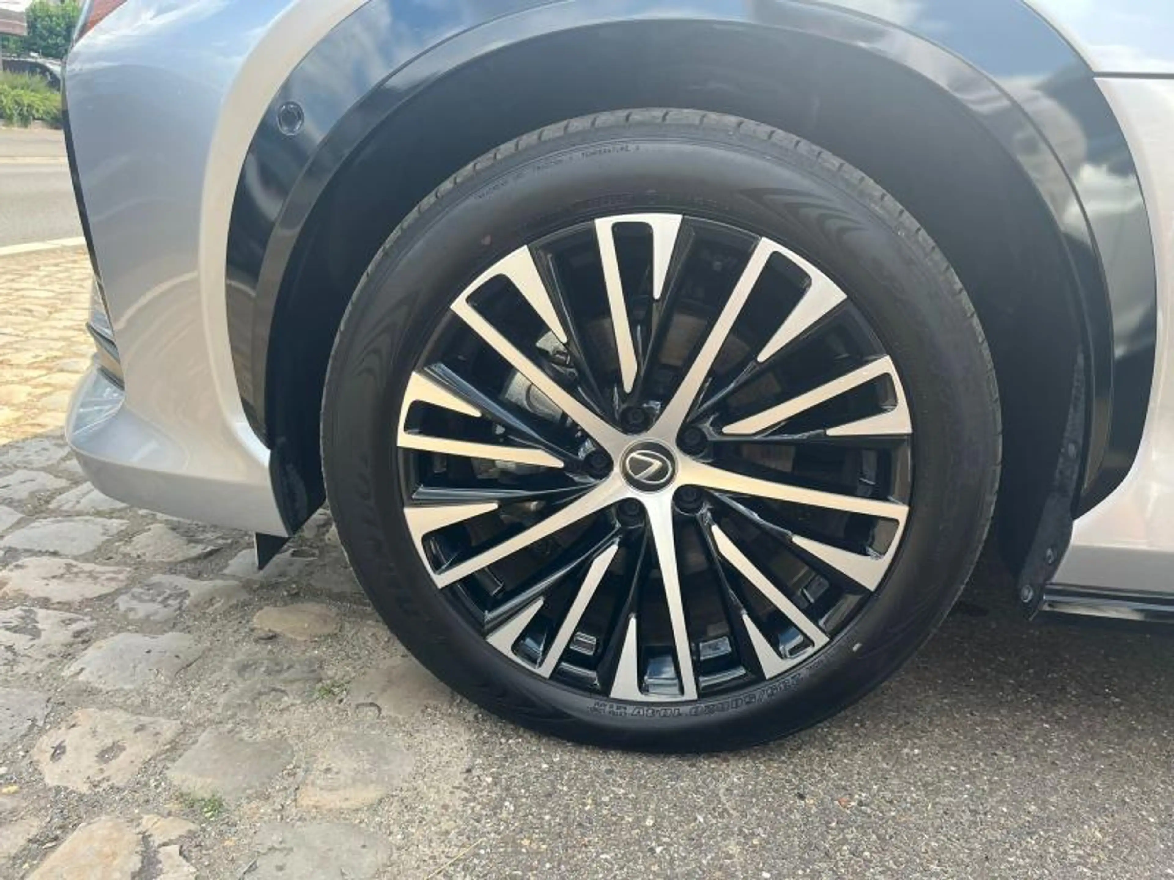 Lexus RZ Privilege Line — photo 3