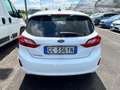 Ford Fiesta 5p 1.5 tdci  VAN -  targa GC336YN Bianco - thumbnail 5