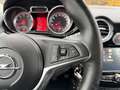 Opel Adam 120 Jahre/PDC/SHZ/LHZ/LEDER - thumbnail 19