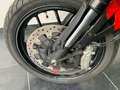 Ducati Scrambler 800 Icon my23 Rouge - thumbnail 13