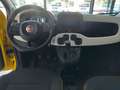 Fiat Panda 1.0 FireFly S&S Hybrid Pandina NUOVA Giallo - thumbnail 15