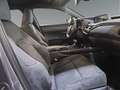 Lexus UX 250h Business Navigation 2WD Grau - thumbnail 6