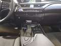 Lexus UX 250h Business Navigation 2WD Gris - thumbnail 8