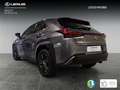 Lexus UX 250h Business Navigation 2WD Grigio - thumbnail 2