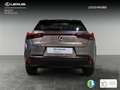 Lexus UX 250h Business Navigation 2WD Gris - thumbnail 4