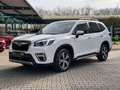 Subaru Forester 2.0ie AWD Platinum *AHK*beh.Lenk*Pano* Blanc - thumbnail 2