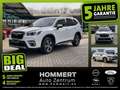 Subaru Forester 2.0ie AWD Platinum *AHK*beh.Lenk*Pano* Blanc - thumbnail 1