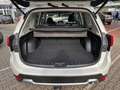 Subaru Forester 2.0ie AWD Platinum *AHK*beh.Lenk*Pano* Blanc - thumbnail 10