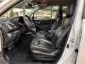 Subaru Forester 2.0ie AWD Platinum *AHK*beh.Lenk*Pano* Bianco - thumbnail 12