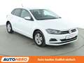 Volkswagen Polo 1.0 TSI Advance*ACC*KLIMA* Weiß - thumbnail 8