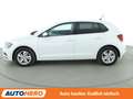 Volkswagen Polo 1.0 TSI Advance*ACC*KLIMA* Weiß - thumbnail 3