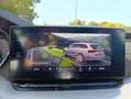 Skoda Octavia Style Grau - thumbnail 10