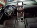 Lexus NX 300 300h Business Navigation 2WD Blanco - thumbnail 46