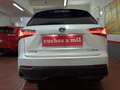 Lexus NX 300 300h Business Navigation 2WD Blanco - thumbnail 37