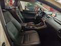 Lexus NX 300 300h Business Navigation 2WD Blanco - thumbnail 47