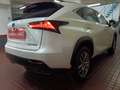 Lexus NX 300 300h Business Navigation 2WD Blanco - thumbnail 41