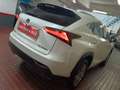 Lexus NX 300 300h Business Navigation 2WD Blanco - thumbnail 42