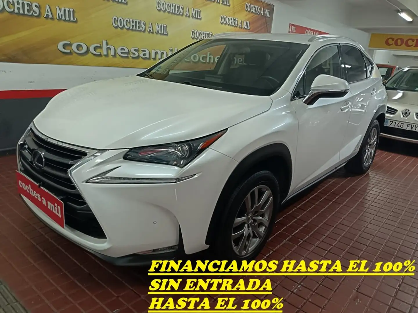 Lexus NX 300 300h Business Navigation 2WD Blanco - 1