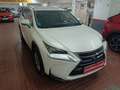 Lexus NX 300 300h Business Navigation 2WD Blanco - thumbnail 6