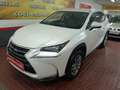 Lexus NX 300 300h Business Navigation 2WD Blanco - thumbnail 2