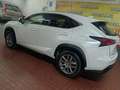Lexus NX 300 300h Business Navigation 2WD Blanco - thumbnail 23