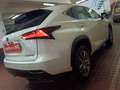 Lexus NX 300 300h Business Navigation 2WD Blanco - thumbnail 40