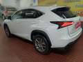 Lexus NX 300 300h Business Navigation 2WD Blanco - thumbnail 32