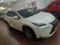 Lexus NX 300 300h Business Navigation 2WD Blanco - thumbnail 9