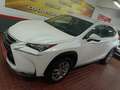 Lexus NX 300 300h Business Navigation 2WD Blanco - thumbnail 11