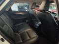 Lexus NX 300 300h Business Navigation 2WD Blanco - thumbnail 45