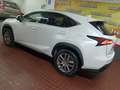 Lexus NX 300 300h Business Navigation 2WD Blanco - thumbnail 30