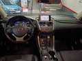 Lexus NX 300 300h Business Navigation 2WD Blanco - thumbnail 28