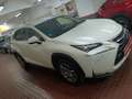 Lexus NX 300 300h Business Navigation 2WD Blanco - thumbnail 7