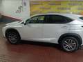 Lexus NX 300 300h Business Navigation 2WD Blanco - thumbnail 12