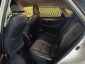 Lexus NX 300 300h Business Navigation 2WD Blanco - thumbnail 25