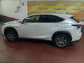 Lexus NX 300 300h Business Navigation 2WD Blanco - thumbnail 21