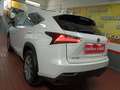 Lexus NX 300 300h Business Navigation 2WD Blanco - thumbnail 34